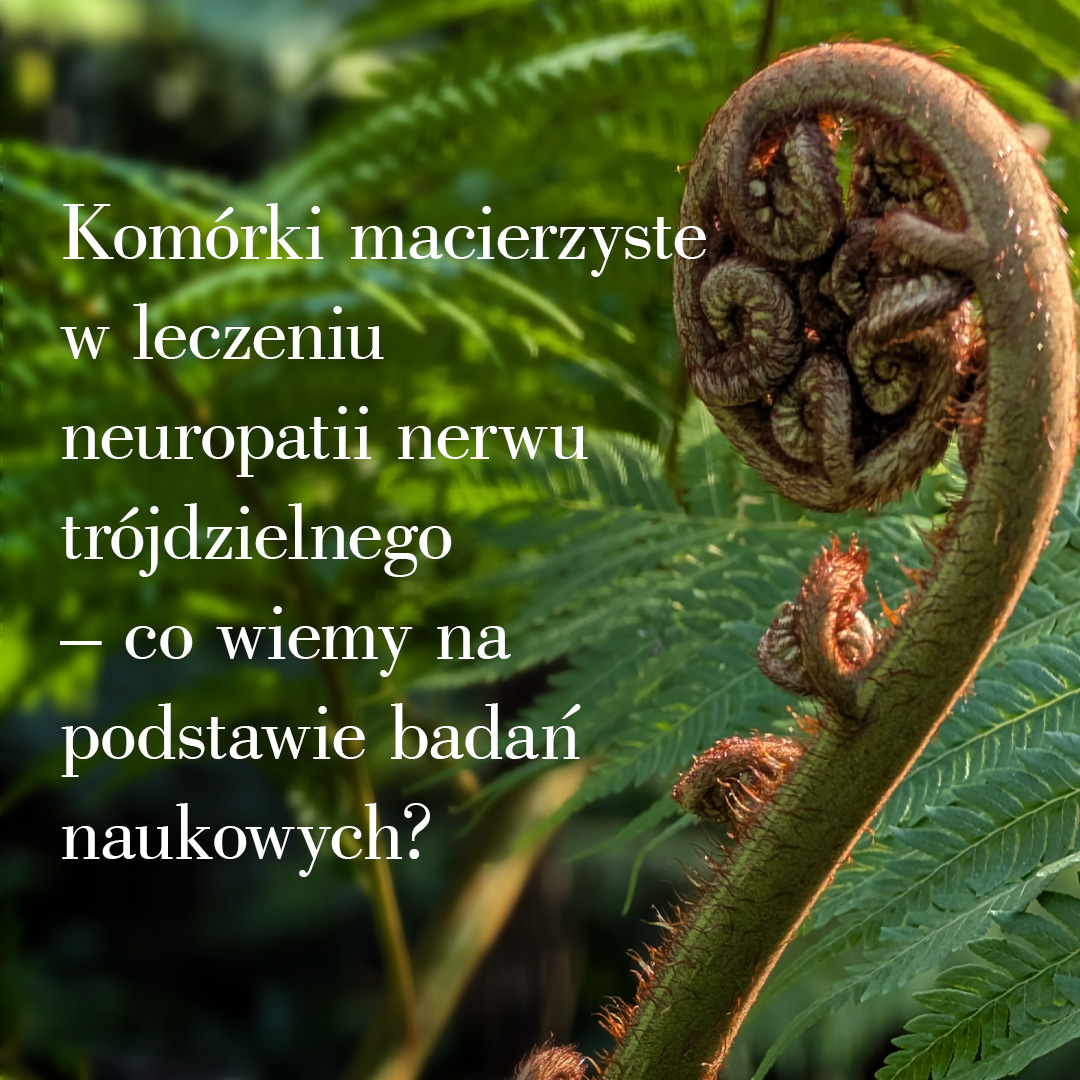 Komórki macierzyste w leczeniu neuropatii nerwu trójdzielnego – co